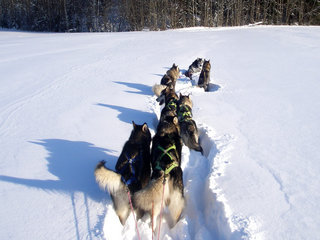 Trening_februar___33__1.JPG