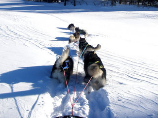 Trening_februar___38__1.JPG