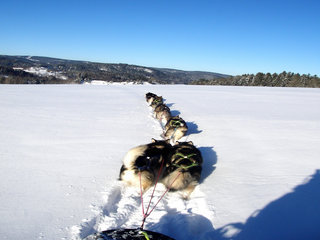 Trening_februar___41__1.JPG