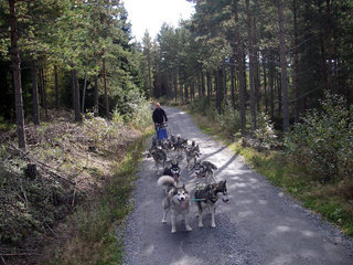 Trening_sept_2010__5__1_1.JPG