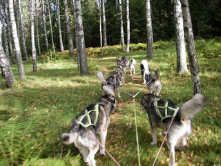 Trening_sept_2010__7__1_1.JPG
