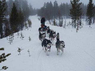 VM_og_Polardistans_2008_119_1_1.jpg