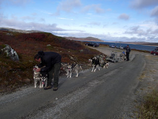 Vidda_samling_NAMK_september_09__2__1.JPG