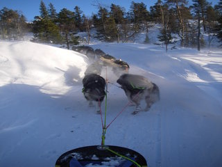 januar_08_003_1.jpg