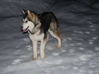 januar_08_036_1_1.jpg