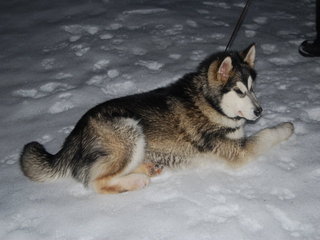 januar_08_039_1_1.jpg