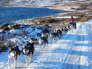 samling_116_1_1.jpg