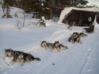 sigdal_032_1.jpg