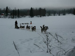 sledetur_003_1.jpg