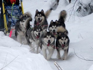 trening_februar__23__1.JPG