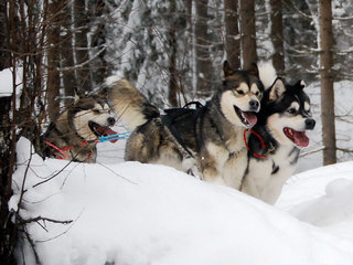 trening_februar__44__1.JPG
