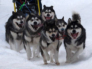 trening_februar__59__1.JPG