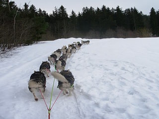 trening_storspann_009_1.jpg