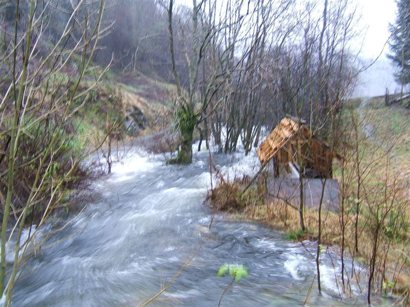 2005_1115Image0026_2_1.JPG