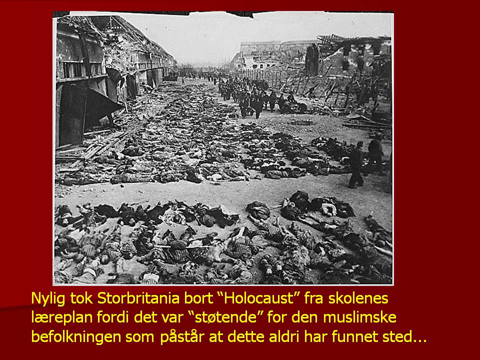 Holocaust facts 5.JPG