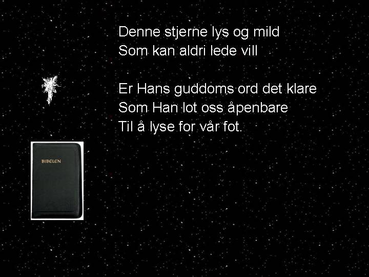 Bibelen Guds Ord er vår ledestjerne til Frelsen: Jesus