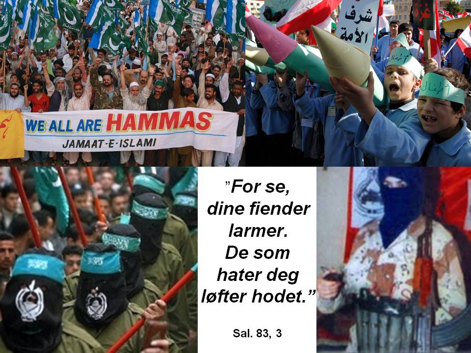 Salme_83_v_3.JPG
