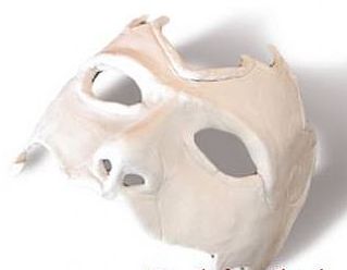 Sannheten_bak_masken.jpg