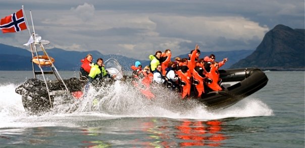 RIB1.jpg