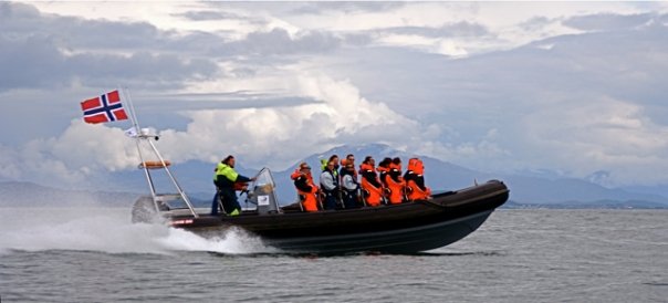 RIB4.jpg