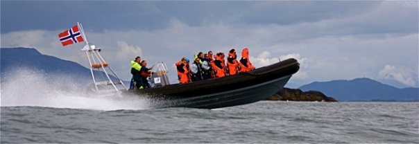 RIB5.jpg
