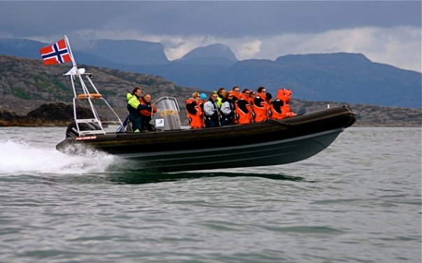 RIB6.jpg