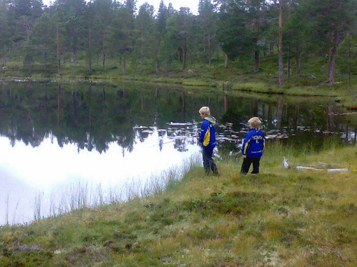 09082007180_1.gif