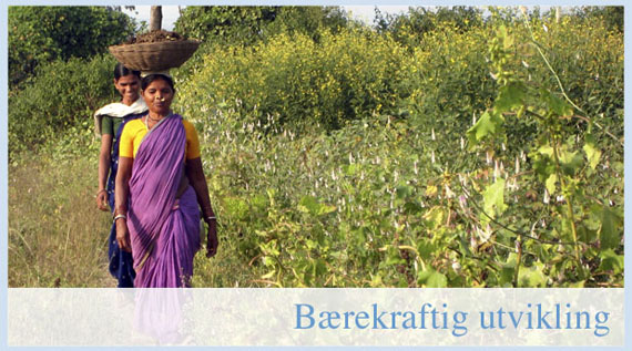 utvikling_03.jpg