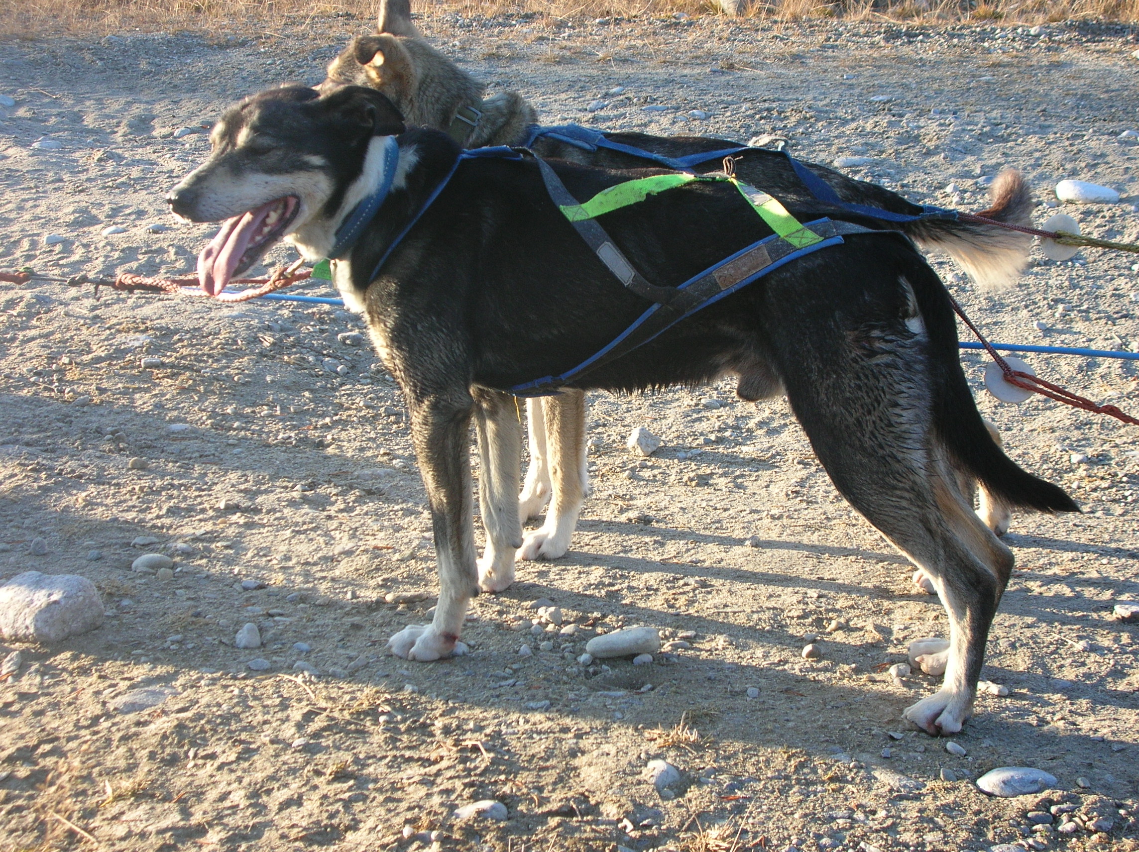 Arnesen_119.jpg