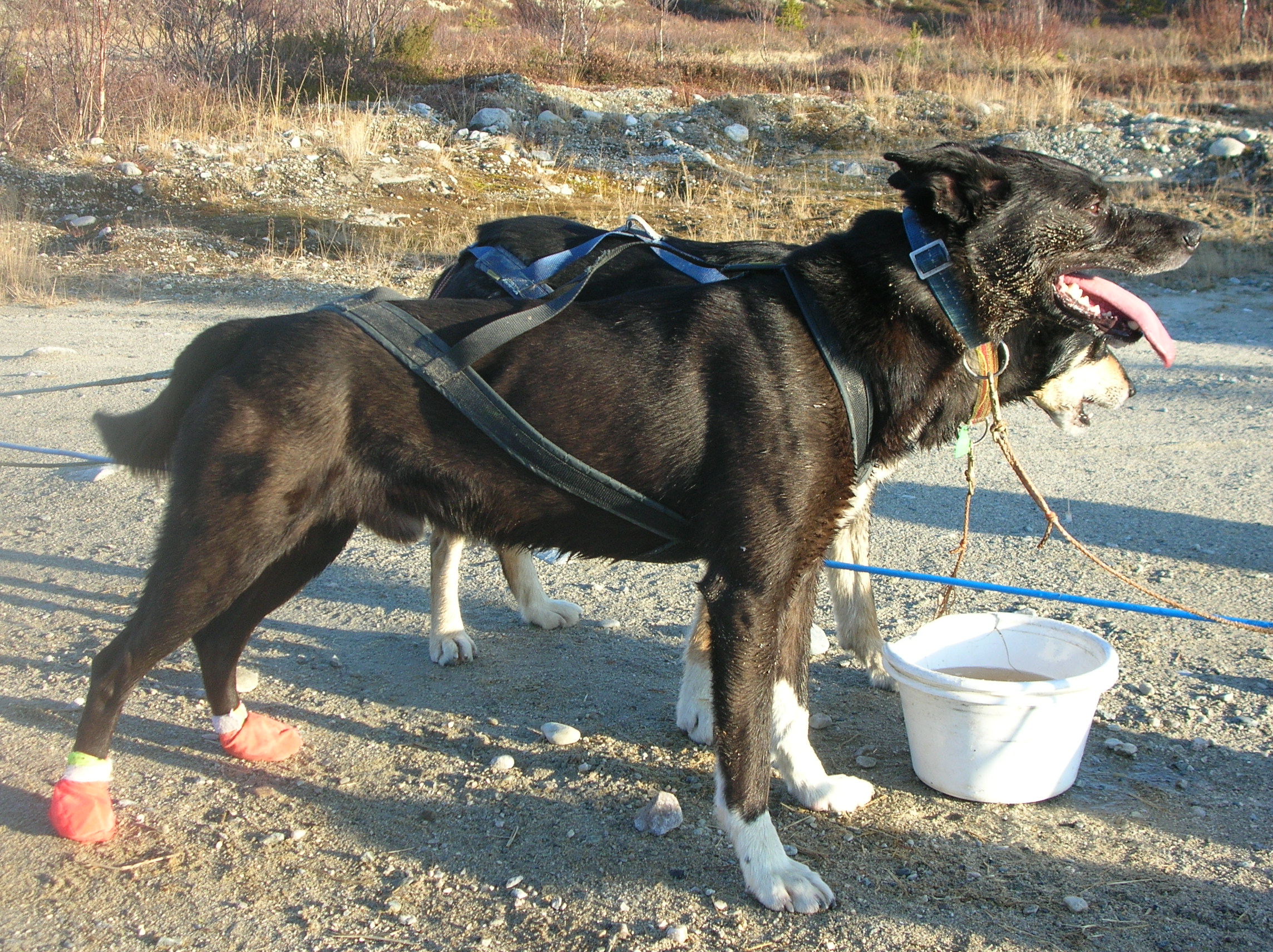 Arnesen_123.jpg