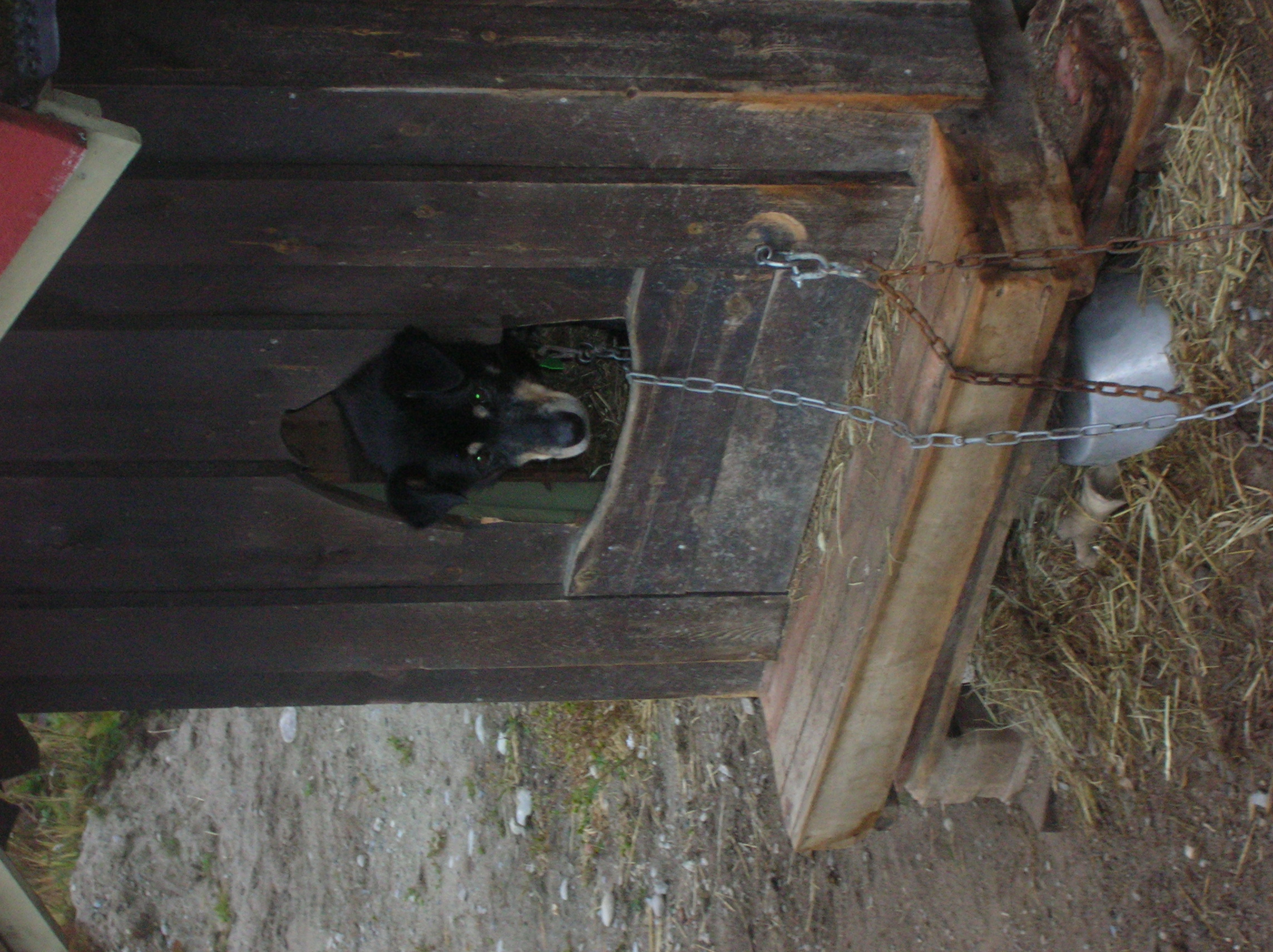 Bilde_003.jpg