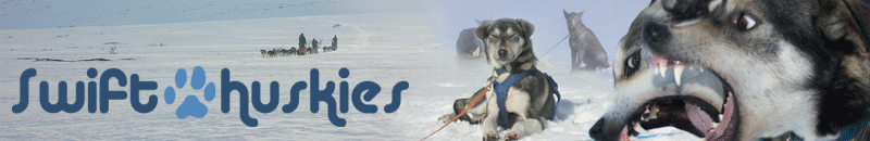 banner.gif