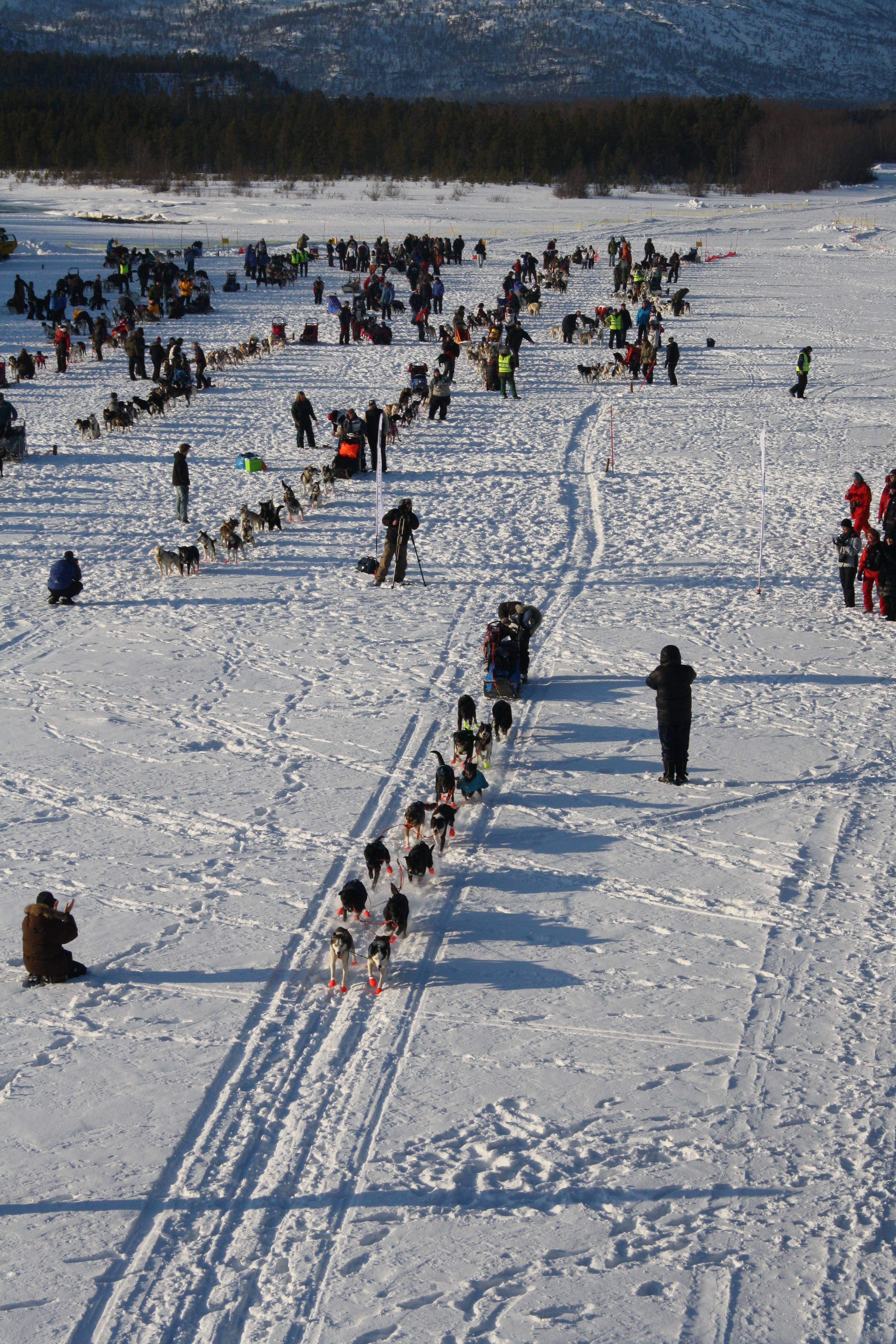 vinter2008_9_219.jpg
