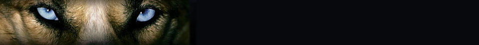 webbanner.jpg