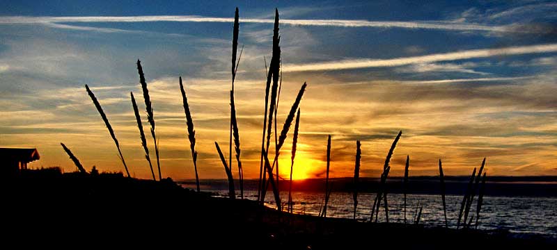 Solnedgang_006.jpg