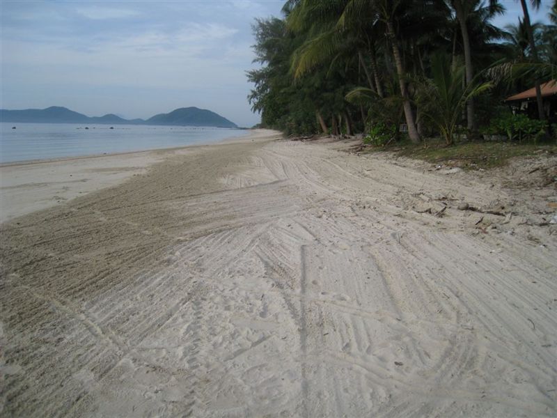 Strand 4_1.JPG