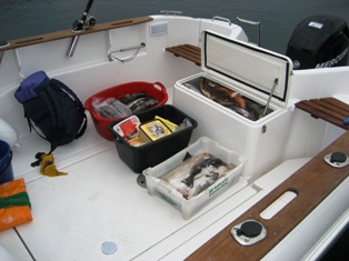 Quicksilver9.JPG