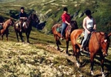 horseriding.jpg