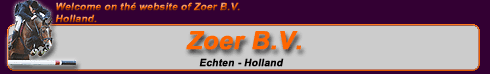 Albert Zoer