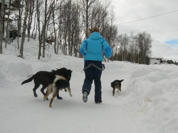 DSCN0146.JPG